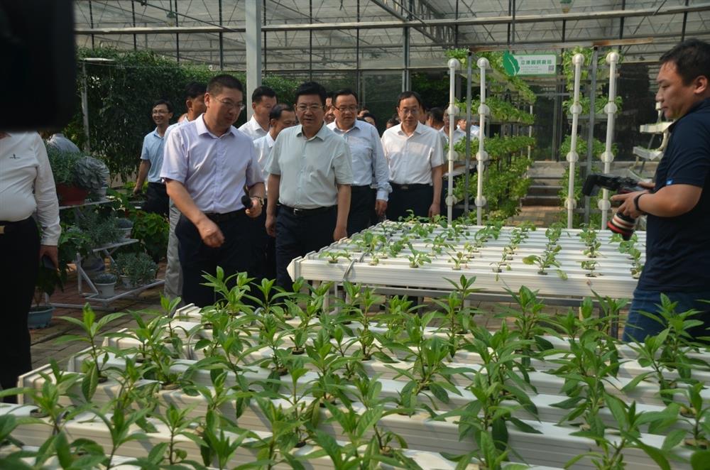 科技助農(nóng)，播撒光的種子  精準(zhǔn)扶貧，助力鄉(xiāng)村振興